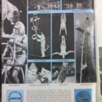Angel Bojilov Sr and various other performers in circus magazine 01